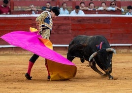 La novillada de Colombinas, en imágenes