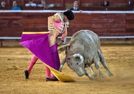 La segunda corrida de Colombinas, en imágenes