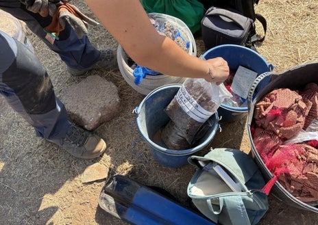 Imagen secundaria 1 - Trabajos de excavación en el santuario fundacional, restos cerámicos encontrados ya clasificados, e imagen de la fíbula