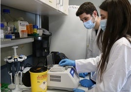 Huelva busca talento joven: Abierta la convocatoria de los Premios Jóvenes Investigadores 2025/2026