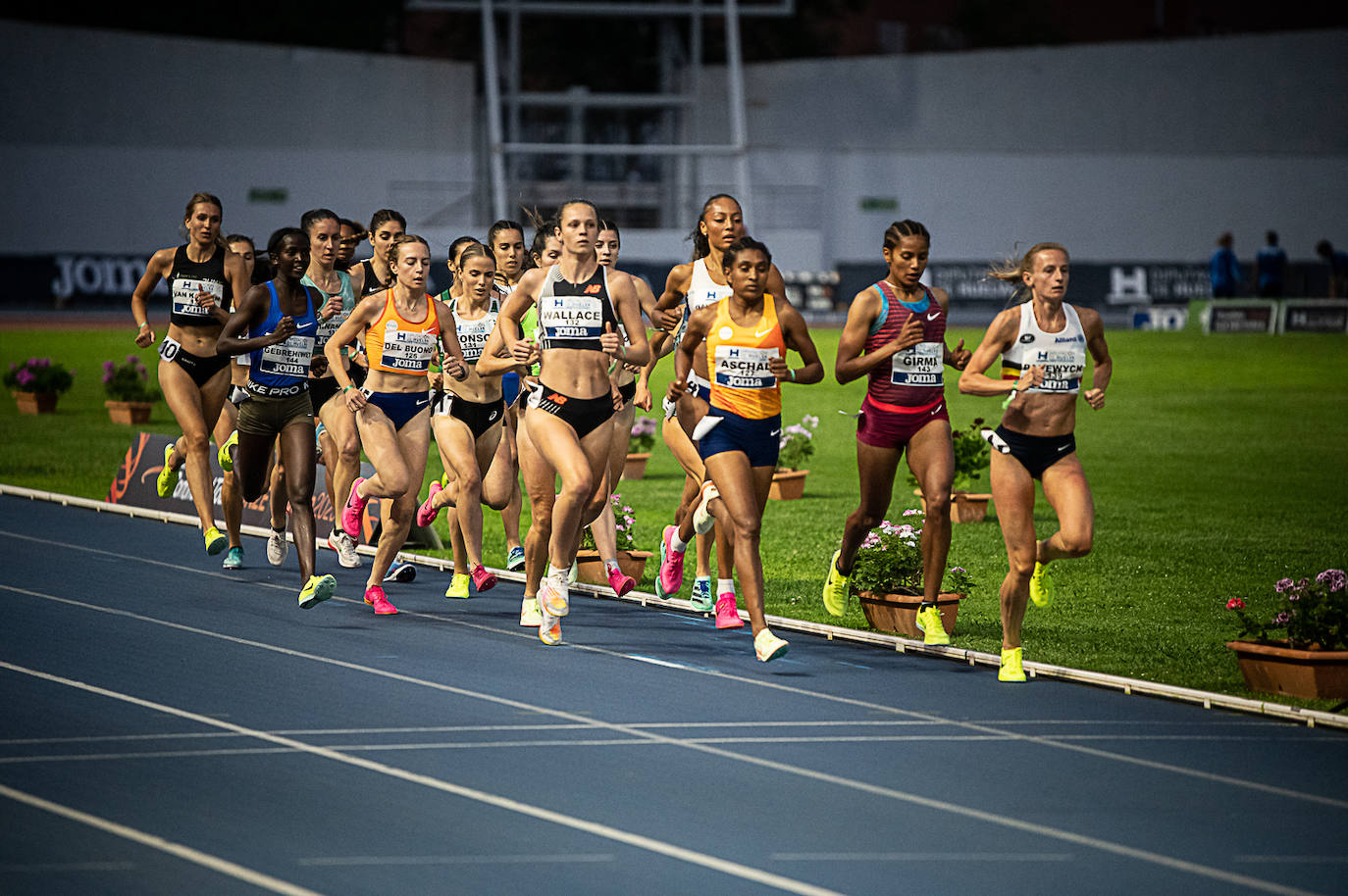 Meeting Iberoamericano 2023: Estampas de una gran jornada deportiva