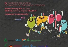 Holea acoge la IV Carrera Solidaria en Homenaje a los Donantes de Órganos y Tejidos