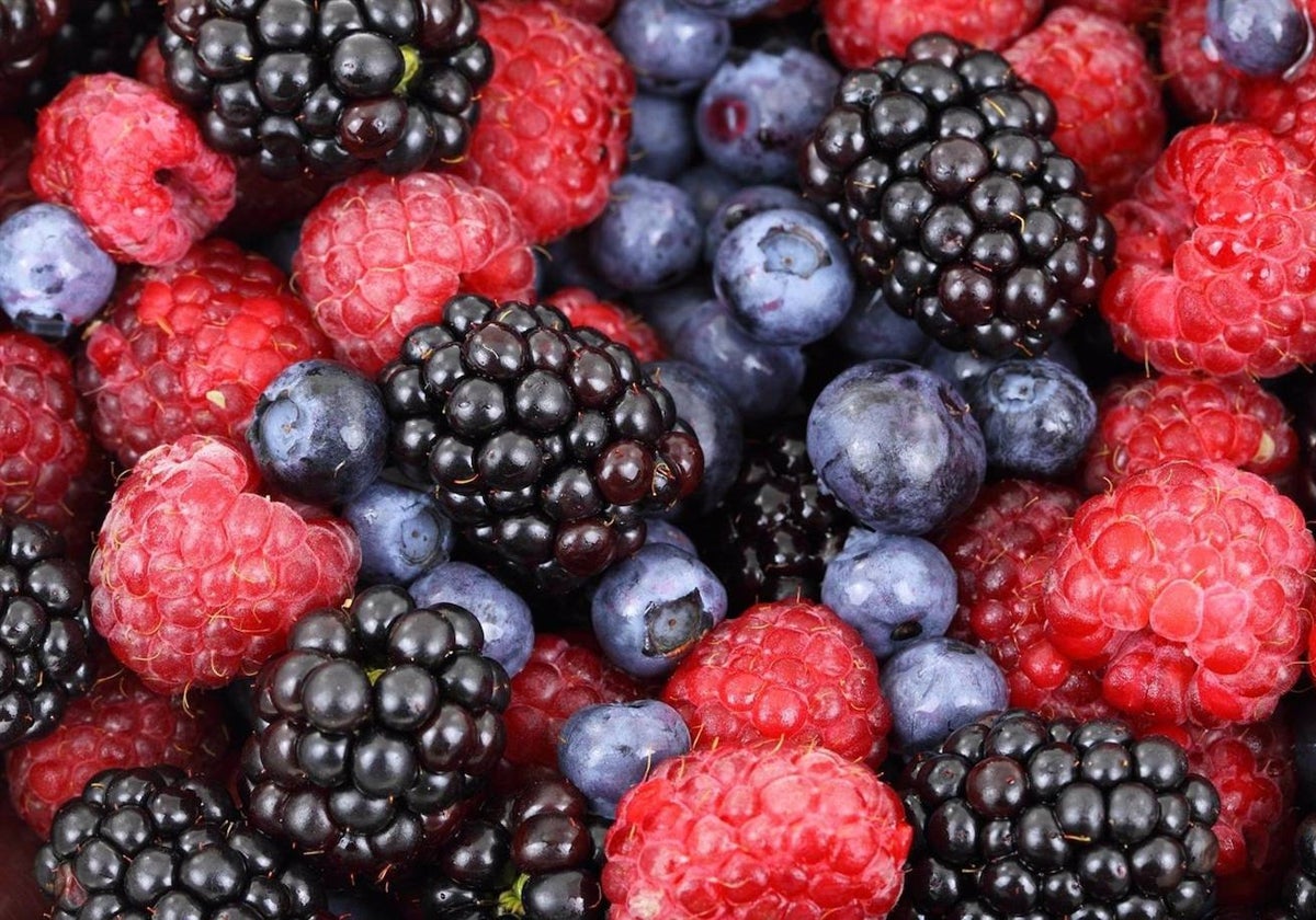 Huelva lidera las exportaciones, con el sector de los frutos rojos a la cabeza