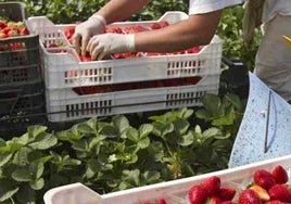 Huelva representó hasta agosto uno de cada cinco euros exportados por Andalucía