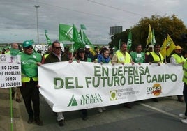 Agricultores de Huelva se manifestarán en Sevilla por la «difícil situación en el campo» por la falta de infraestructuras hídricas y la sequía