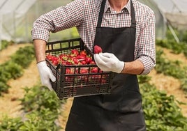 Hudisa, empresa de Huelva líder del sur de Europa en frutos rojos, acude en Nuremberg a Biofach 2024