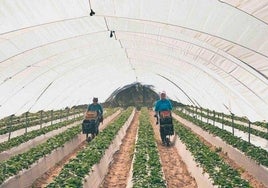 Huelva   lidera la bajada del paro en Andalucía en febrero y acumula un descenso anual de más de tres mil desempleados