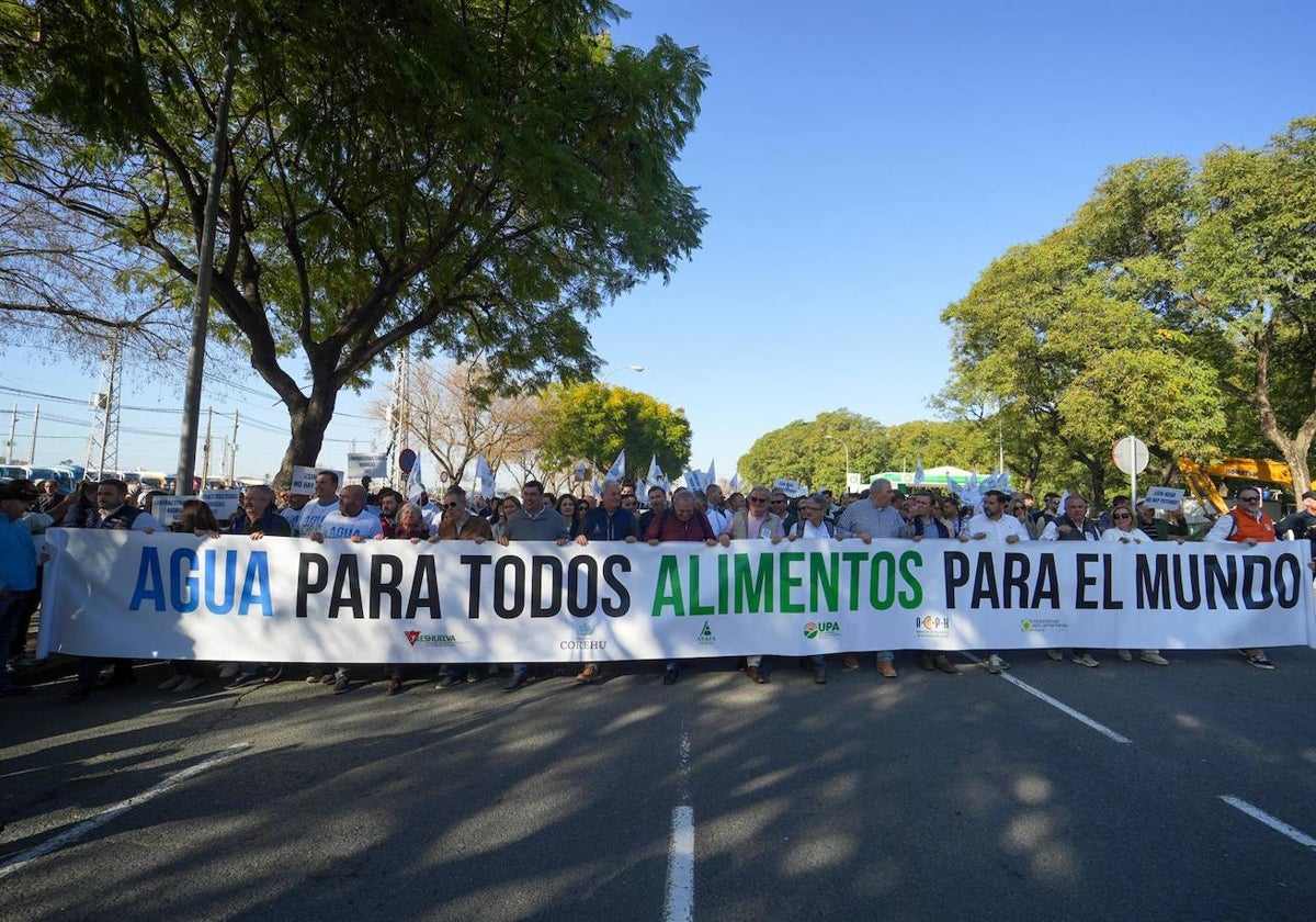 Agricultores de Huelva en la manifestación celebrada en Sevilla el 2 de febrero para reivindicar las infraestructuras hidráulicas pendientes en la provincia