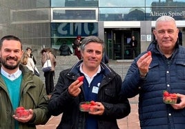 UPA reparte más de 1.000 tarrinas de fresas de Huelva en Bruselas para demostrar su seguridad alimentaria