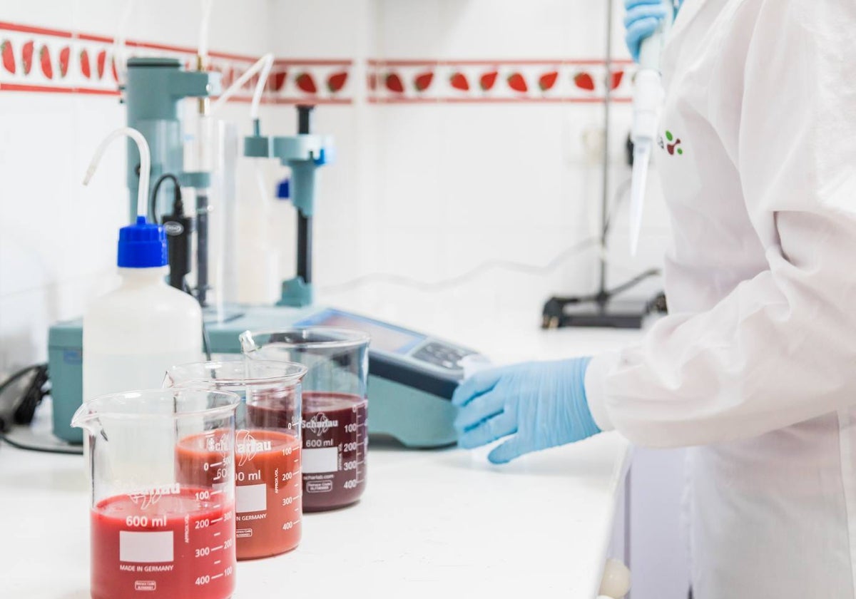 Análisis de purés de frutos rojos de la empresa onubense Hudisa