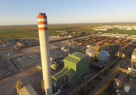 Ence cierra el primer trimestre de 2025 con un beneficio de 2,4 millones