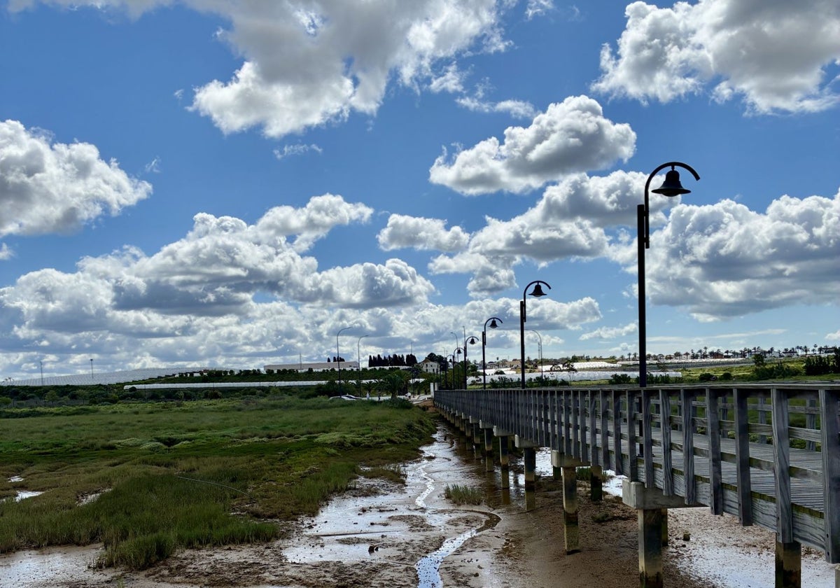 Muelle de la Calzadilla de Palos de la Frontera