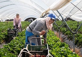 El sector agrícola de Huelva eleva la presión sobre el Gobierno para reclamar más contratación en origen