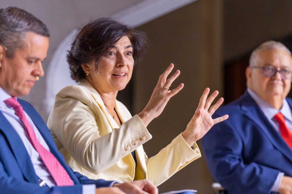 El I Foro Nacional de Minerales Críticos, en imágenes