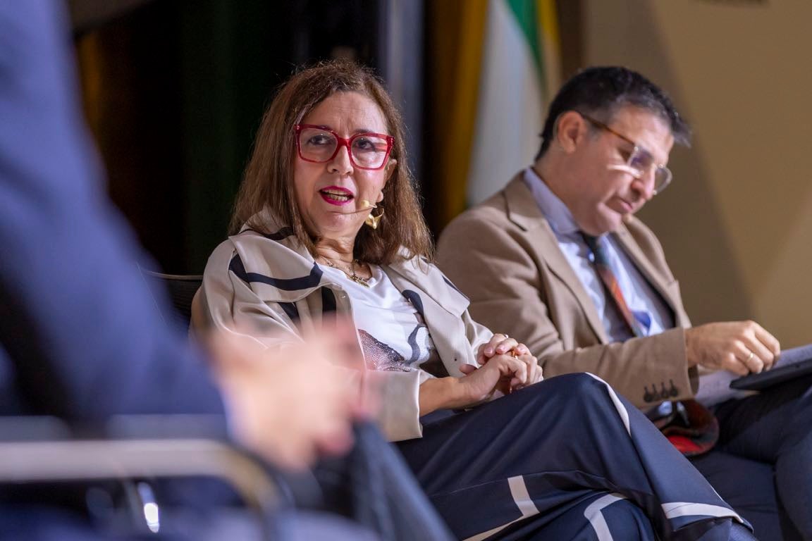 El I Foro Nacional de Minerales Críticos, en imágenes