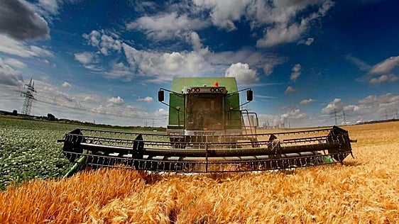 Otoño caliente en el campo onubense: las organizaciones agrarias llevan a la calle la factura del gasóleo y los fertilizantes