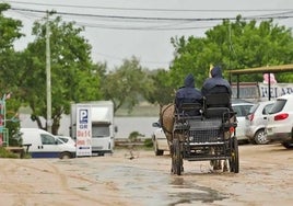 El Ayuntamiento de Almonte justifica la tasa a los carruajes de El Rocío por razones de seguridad y por la Ley de Bienestar Animal