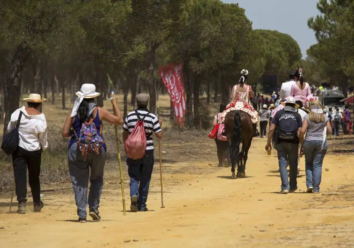 El proyecto contribuirá a la recuperación de vías pecuarias y verdes