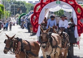 Caballos en el camino de la hermandad de Huelva hacia El Rocío