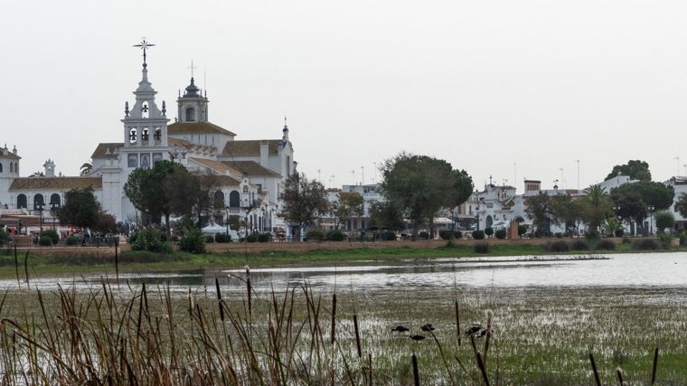 Zona de marisma junto al santuario de El Rocío