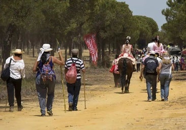 El llamamiento de Doñana a las hermandades de El Rocío: respeto por el espacio y especial precaución ante el fuego
