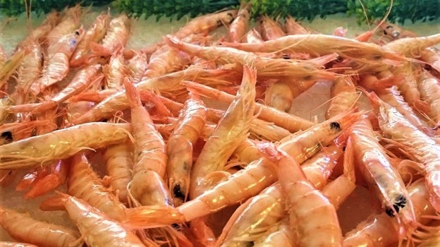 Dónde comer las mejores gambas de Huelva en la capital