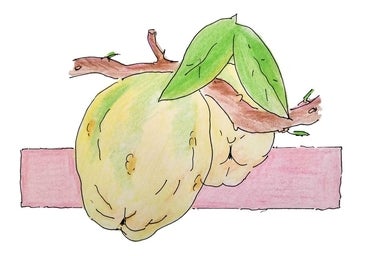 Dulce de membrillo