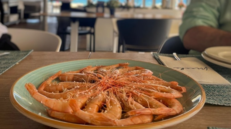 Plato de gambas en Bar Restaurante Macha La Antilla