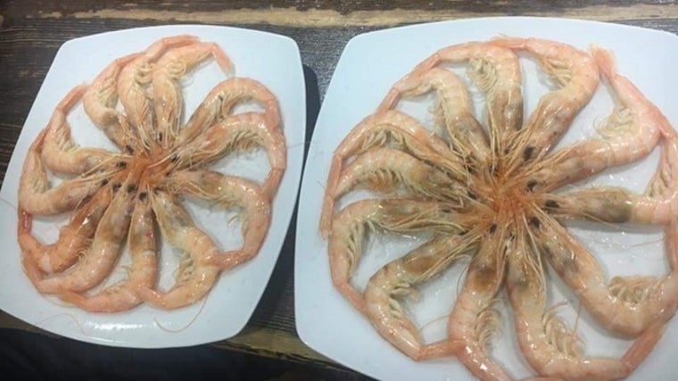 Platos de gambas en el Restaurante Taberna Nino