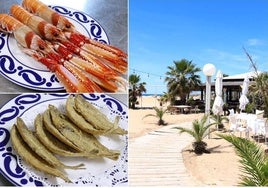 Este es el chiringuito de la costa de Huelva que enamora a la Guía Repsol: «Un sitio donde disfrutar de la playa y joyas gastronómicas»