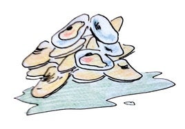Coquinas