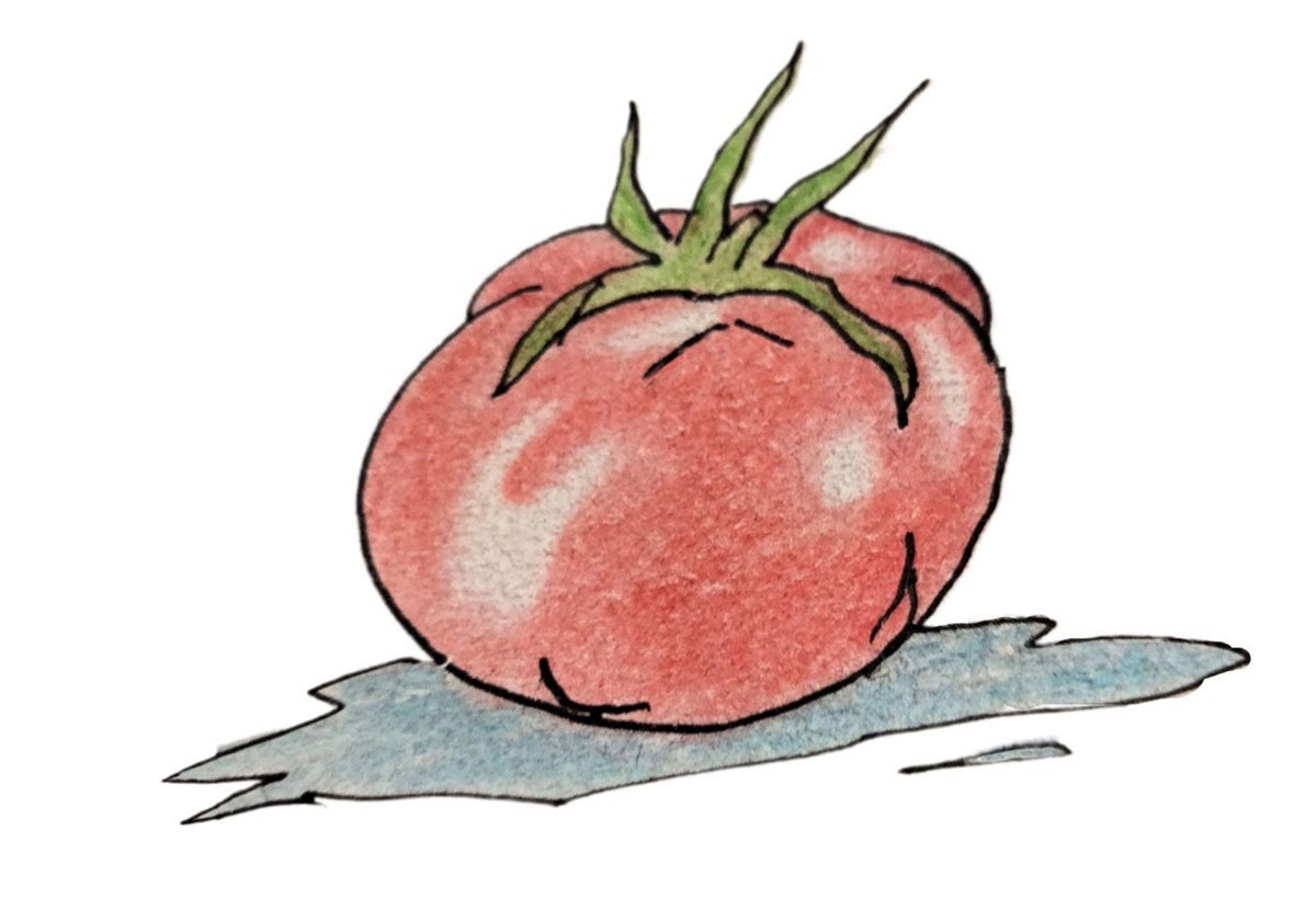 El tomate, ingrediente principal del gazpacho