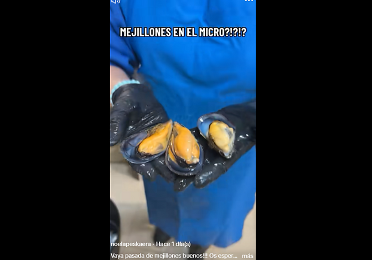 Noe, pescadera, revela el truco definitivo para cocer los mejillones en el microondas