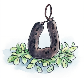 Ensalada de morcilla: la sorprendente y saludable receta que te dejará sin palabras