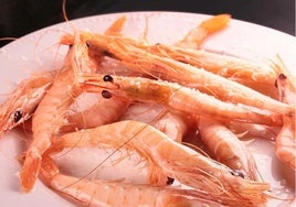 Estos son los bares de Huelva donde puedes comer las mejores gambas: ¿cuál es el precio medio?