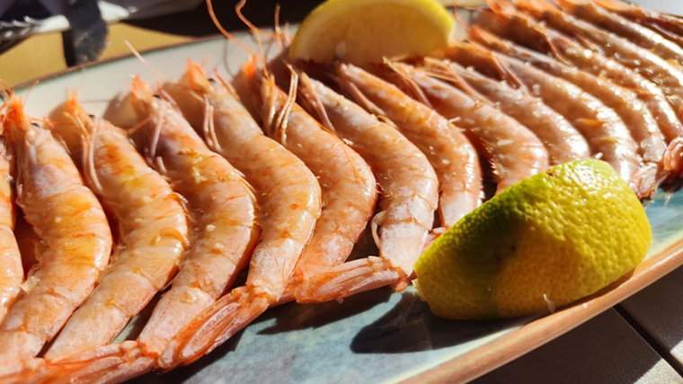 Plato de gambas servido en el Chiringuito Camarón