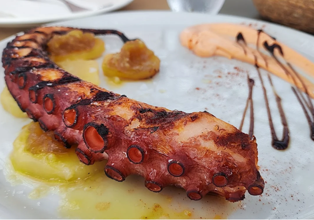 Plato de pulpo servido en el Chiringuito Camarón, uno de los mejores sitios donde comer en Punta Umbría