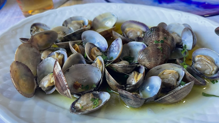 Plato de almejas servido en Casa Diego