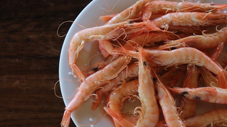 Plato de gambas servido en la Marisquería Doña Gamba