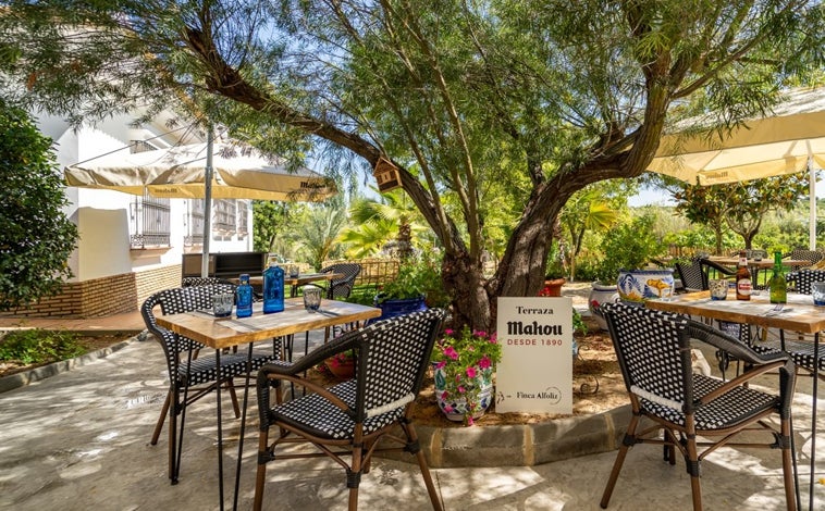 Imagen principal - El restaurante de Xanty Elías en un bonito pueblo de Huelva donde puedes dormir la siesta y visitar su huerto: «Un lugar único»