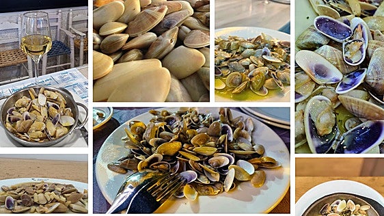 ¿Dónde comer las mejores coquinas de Huelva? Ocho bares y restaurantes donde nunca fallan