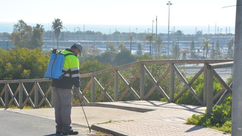 El Ayuntamiento de Palos de la Frontera desinfecta su red de alcantarillado