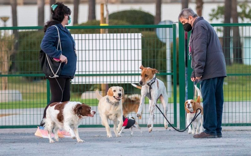 Nueva zona de esparcimiento canino en Pescadería