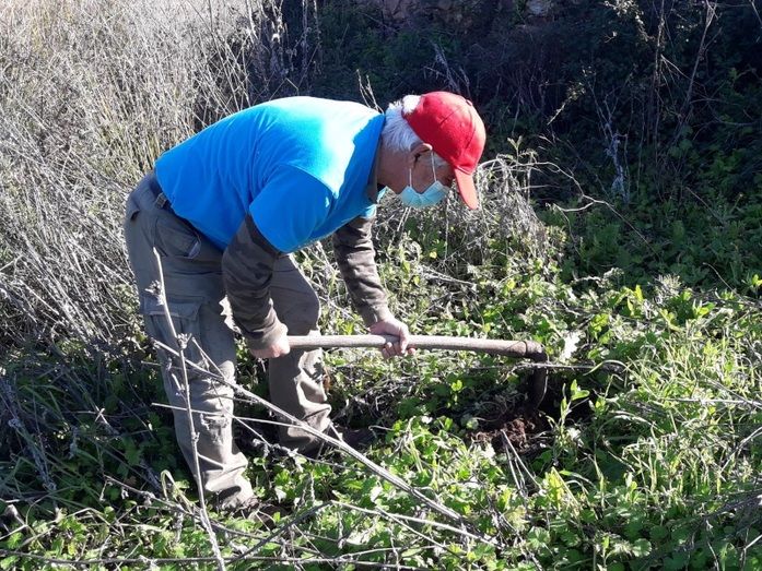 Plantación reivindicativa en Cueva de la Mora con 5.000 bellotas y 500 árboles