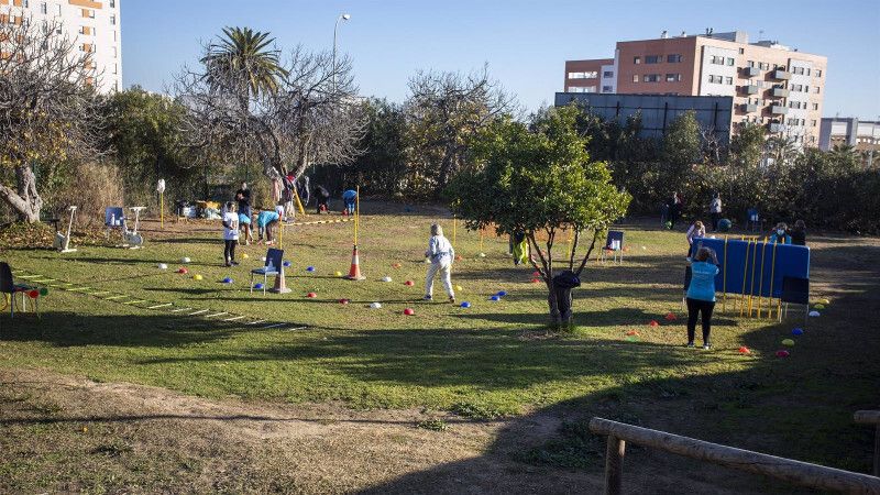 Más de 480 mayores participan en programas de actividad física y fotografía en el Parque Moret