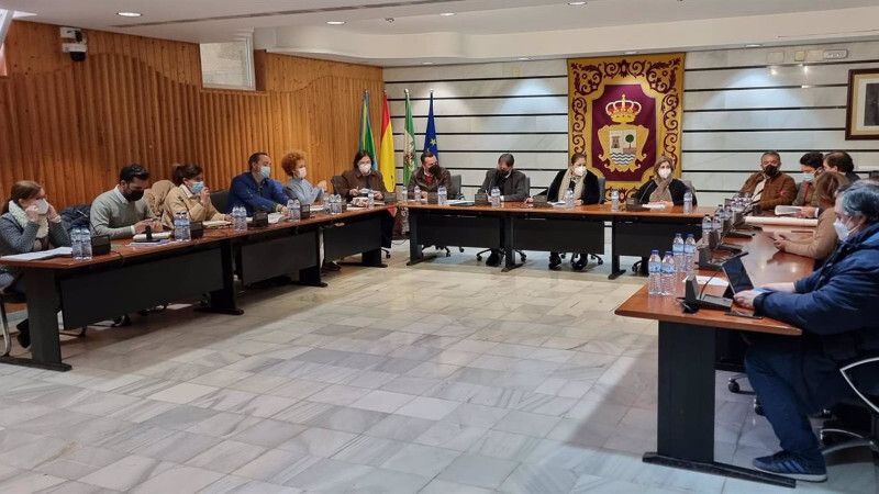 Punta Umbría aprueba en Pleno que colectivos puedan dar de comer a animales sin dueño