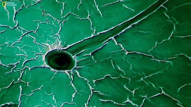 El runrún: Naturaleza muerta