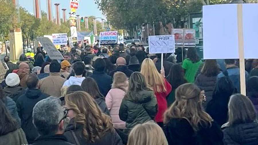 Los antivacunas onubenses se manifiestan en Sevilla contra la 'dictadura sanitaria'