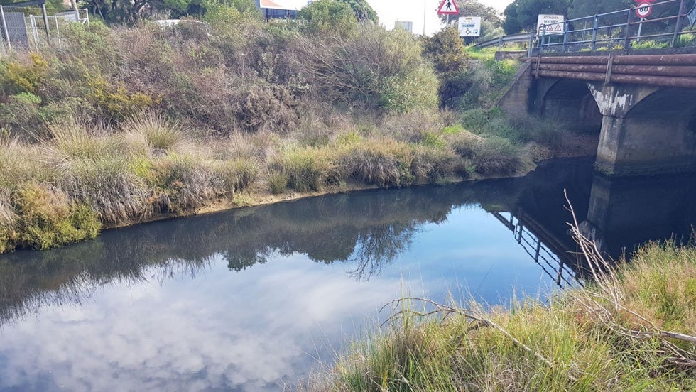 Denuncian un vertido de aguas residuales al Caño de la Culata, en El Portil