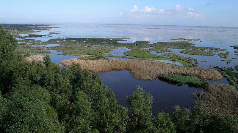 La sobrexplotación de acuíferos y el dragado del Guadalquivir, amenazas clave para Doñana